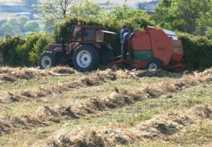 hay baler hay baler in Sicily